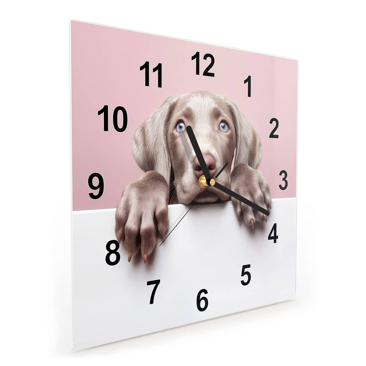 Quadratische Wanduhr aus Glas Weimaraner Welpe schräg von der Seite, 4 mm starkes Glas