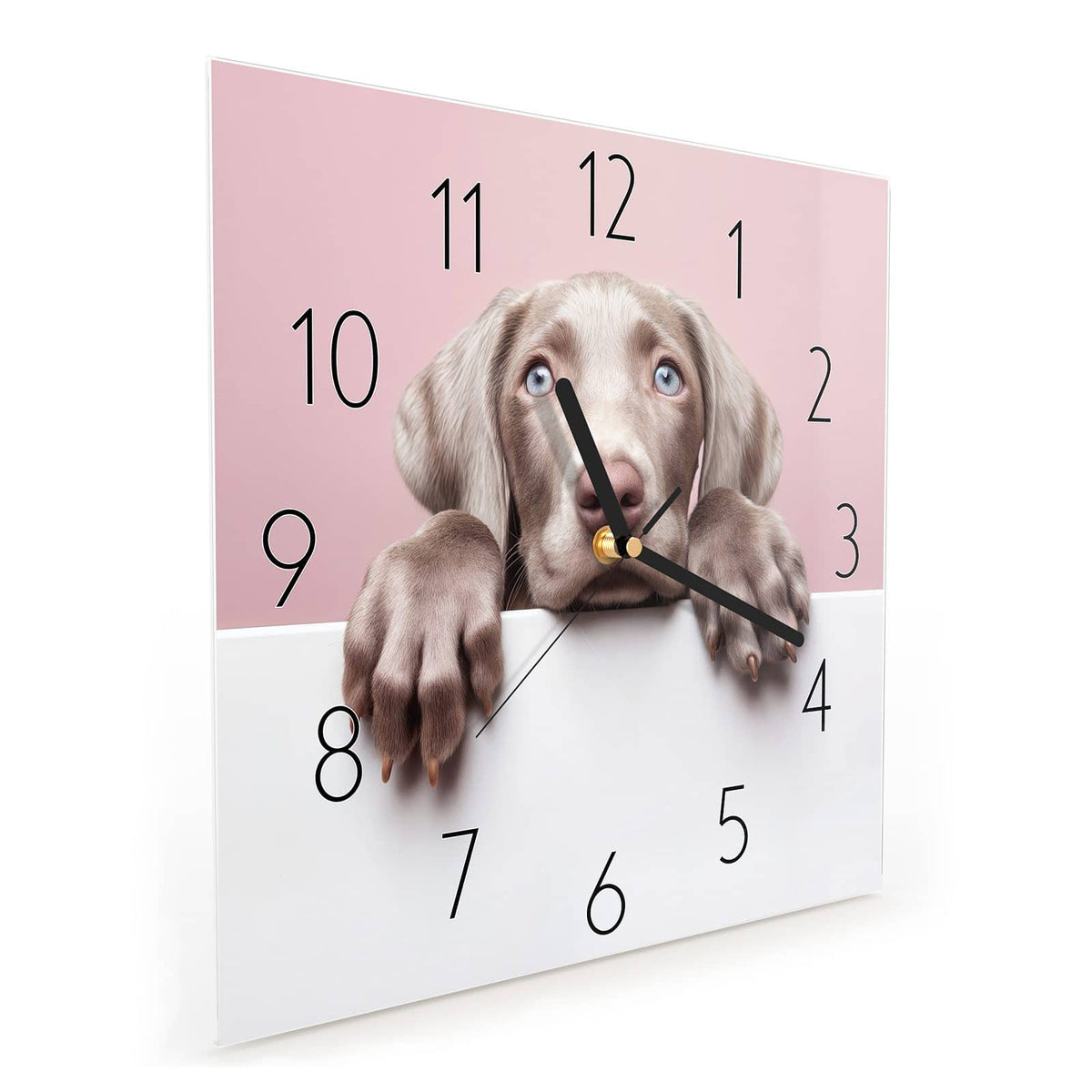 Quadratische Wanduhr aus Glas Weimaraner Welpe schräg von der Seite, 4 mm starkes Glas