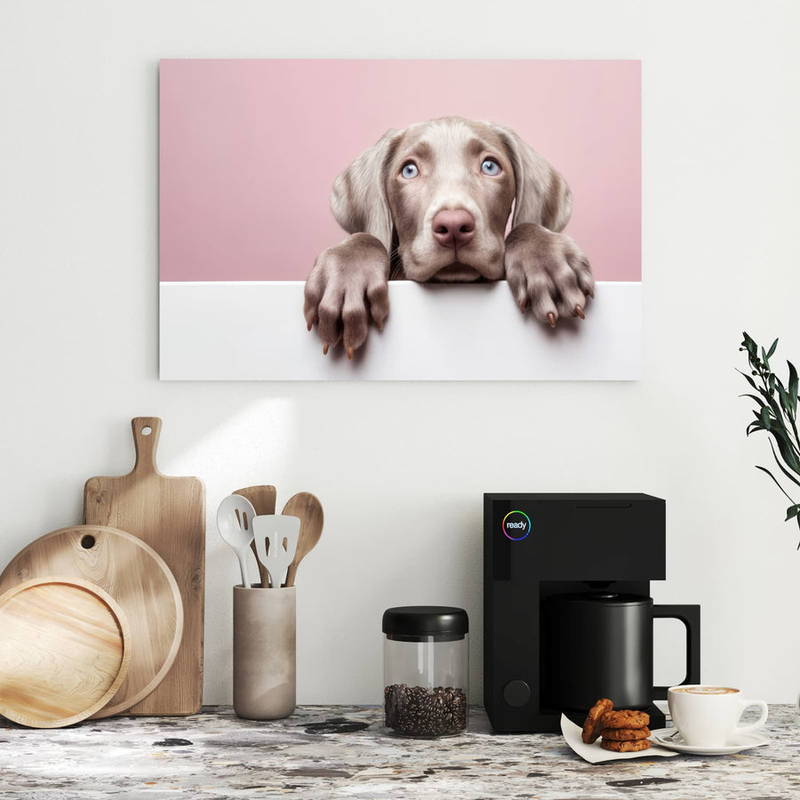 Maße Metall Magnettafel - Weimaraner Welpe