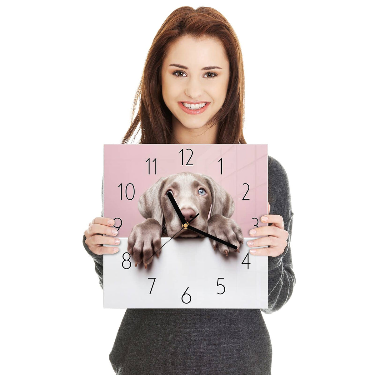 Weimaraner-Welpe mit hellblauen Augen schaut über eine weiße Wand, rosa Hintergrund