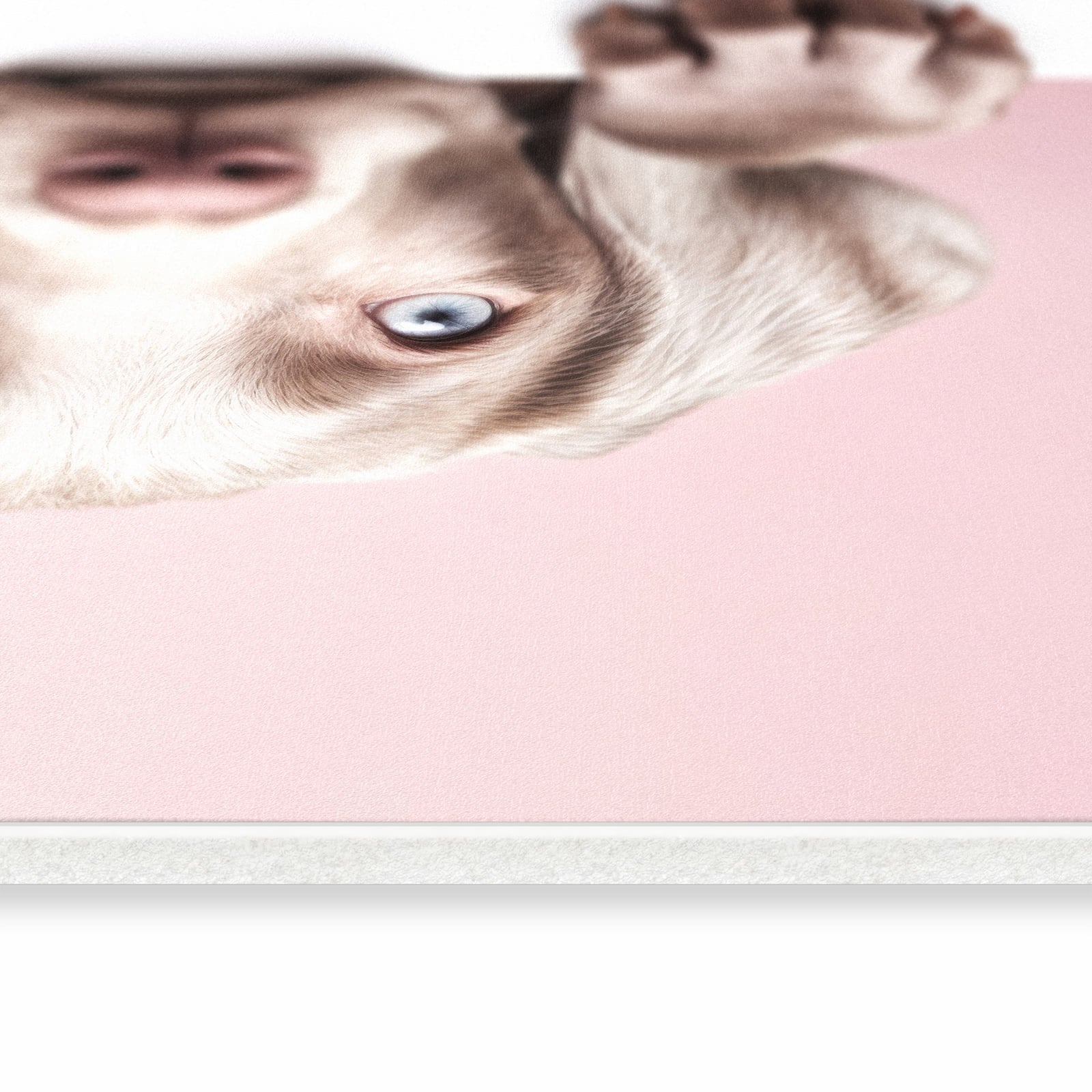 Küchenteppich mit Motiv Niedlicher Welpe in seitlicher Ansicht für angenehme Haptik