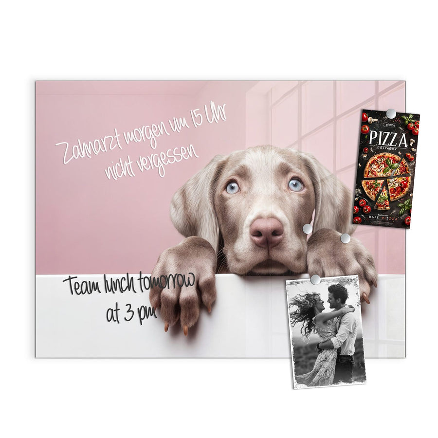 Maße Magnettafel - Weimaraner Welpe