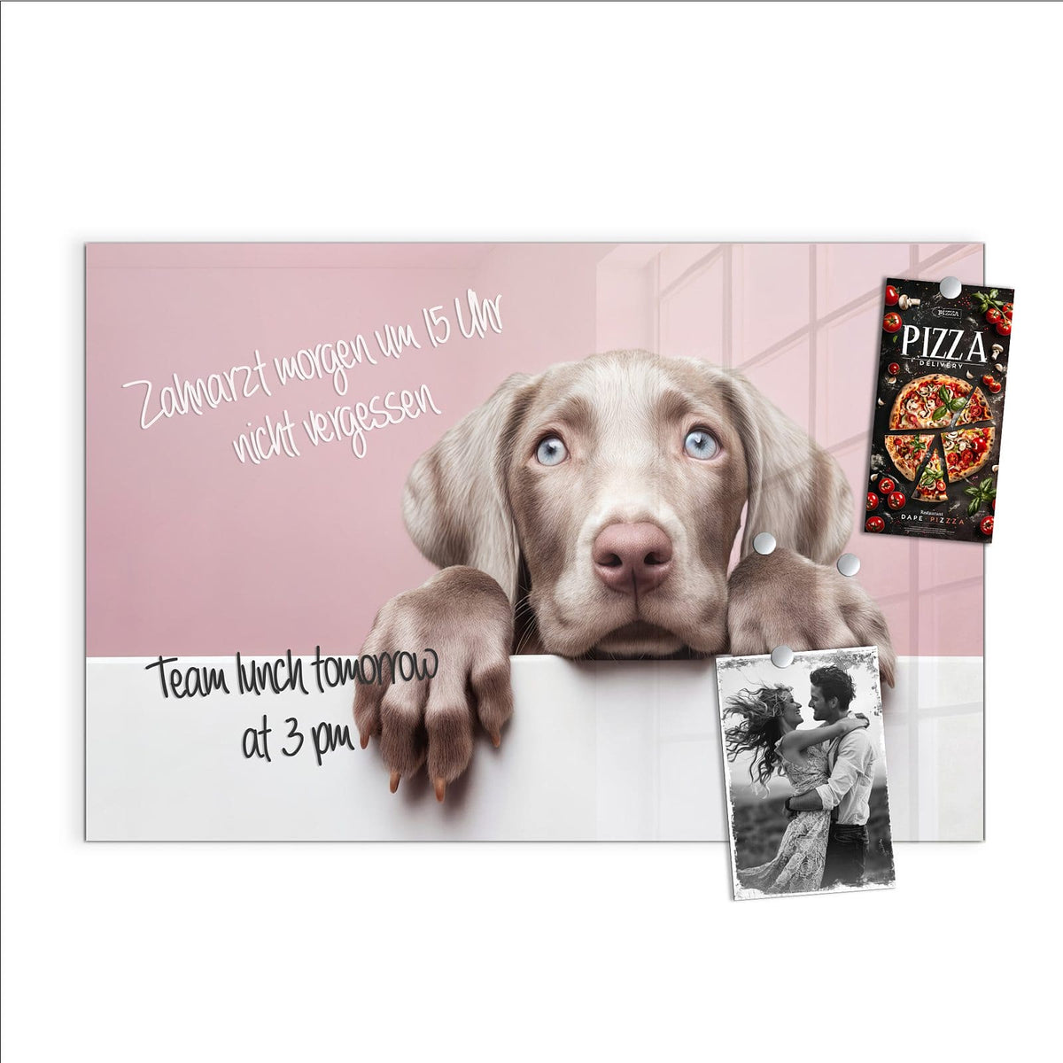 Beschreiben, abwischen, anheften – Magnettafel - Weimaraner Welpe