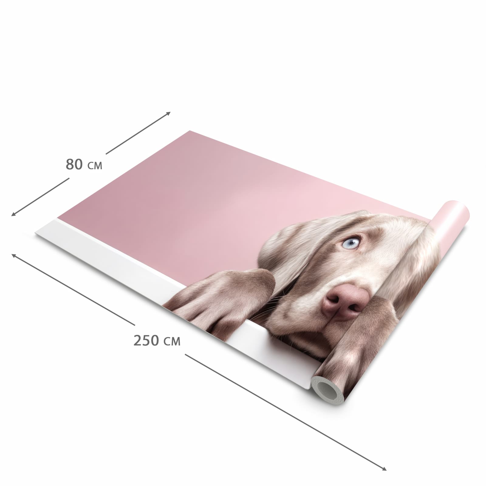 Organisierender Küchenläufer mit Motiv Niedlicher Welpe in der Grösse 80x250 cm