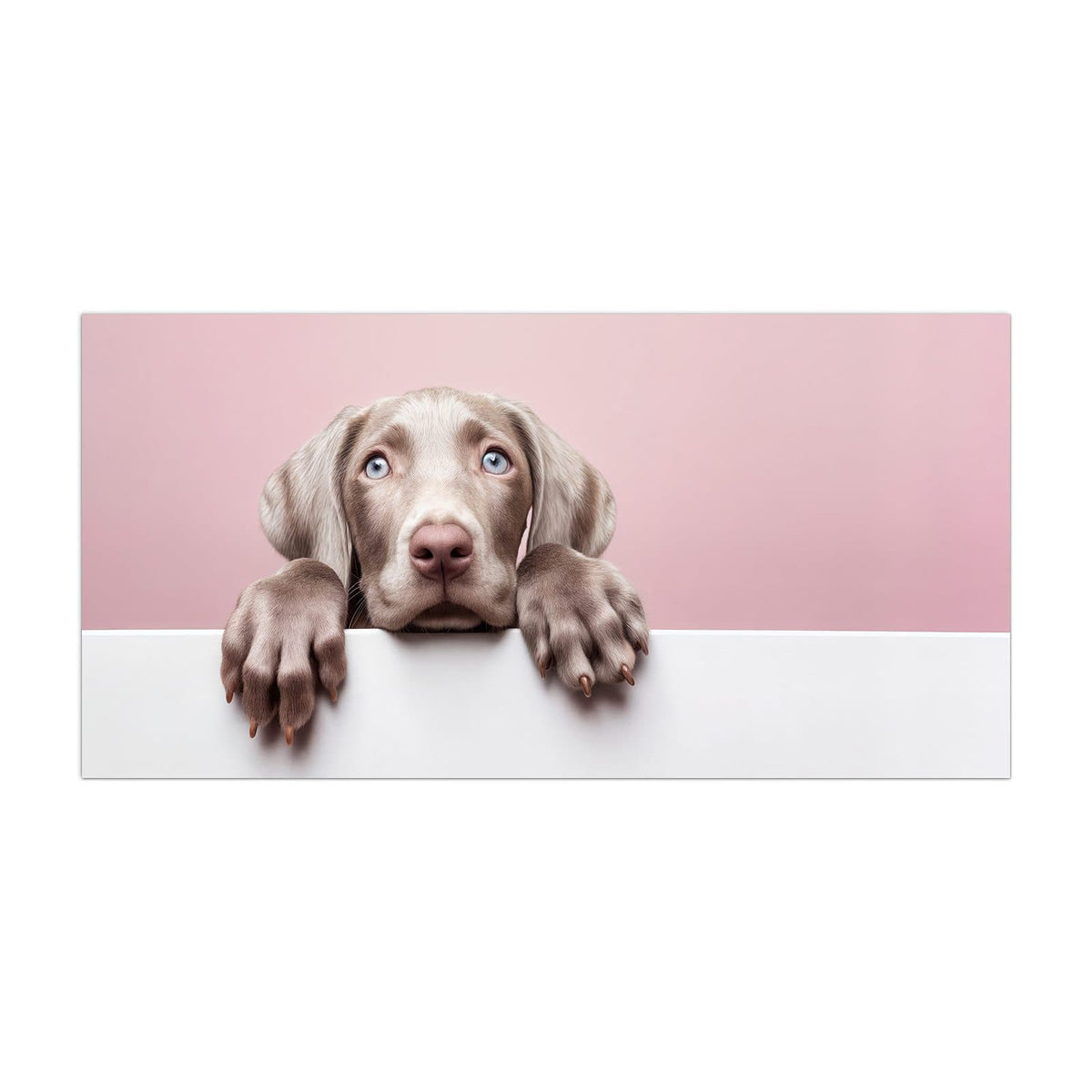 Küchenrückwand aus Glas Weimaraner Welpe im Hochformat, Motiv bildfüllend von vorn