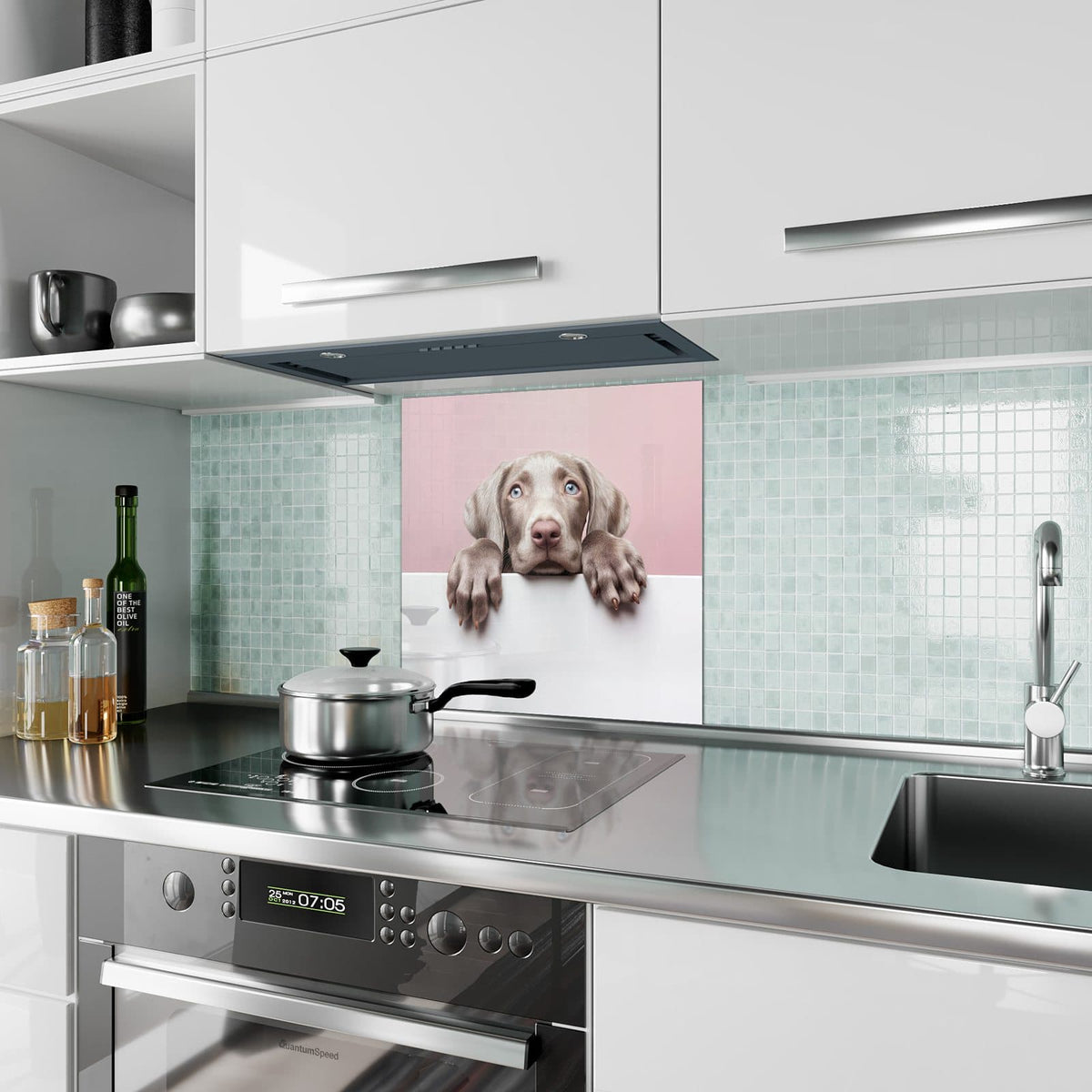 Küchenrückwand aus Glas Weimaraner Welpe im quadratischen Format als Spritzschutz hinter dem Kochfeld, über dem Fliesenspiegel montiert