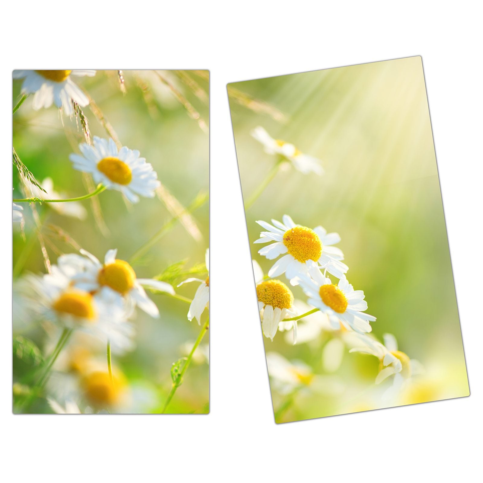 #grösse_2-teilig (je 30x52cm)