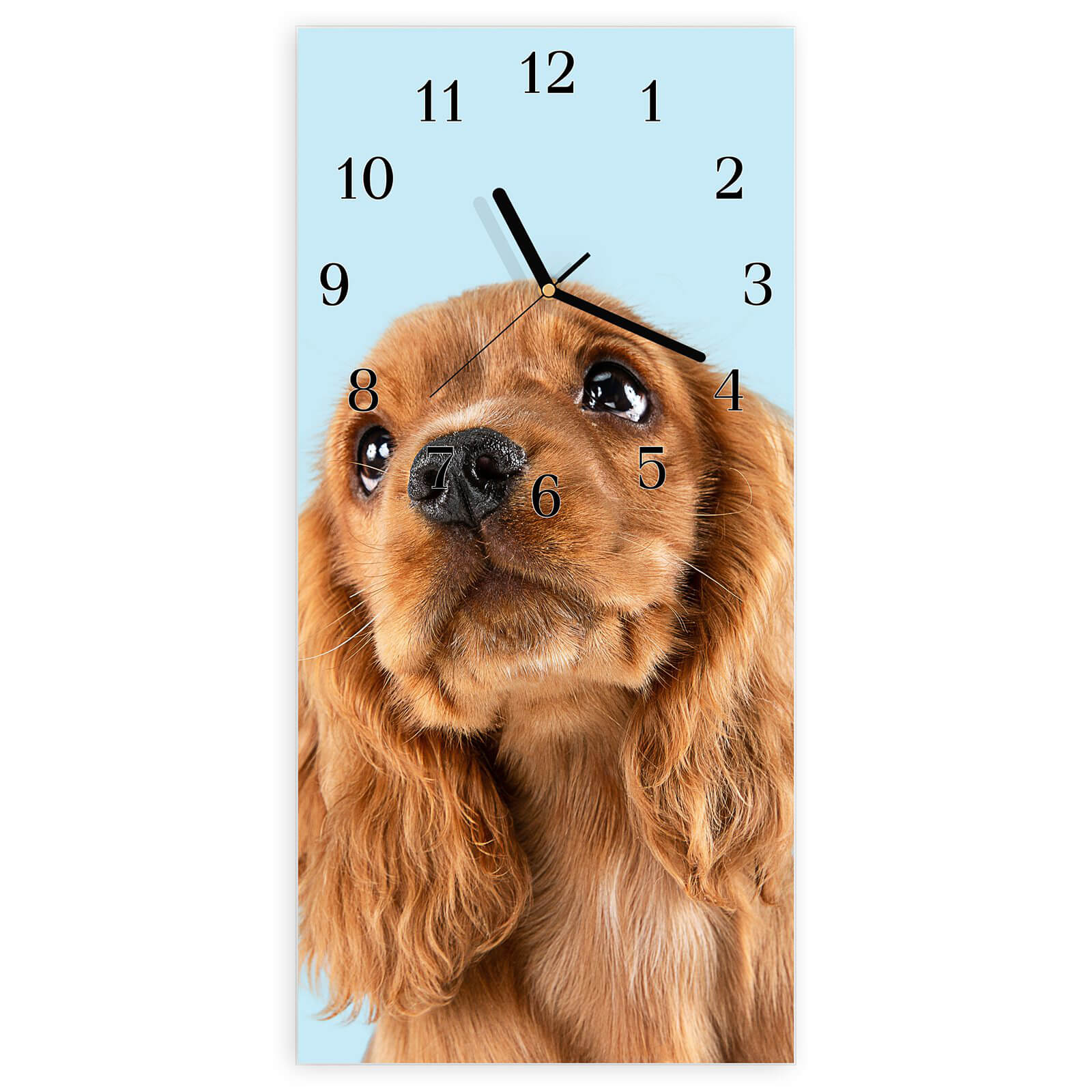 #ziffernblatt_klassisch