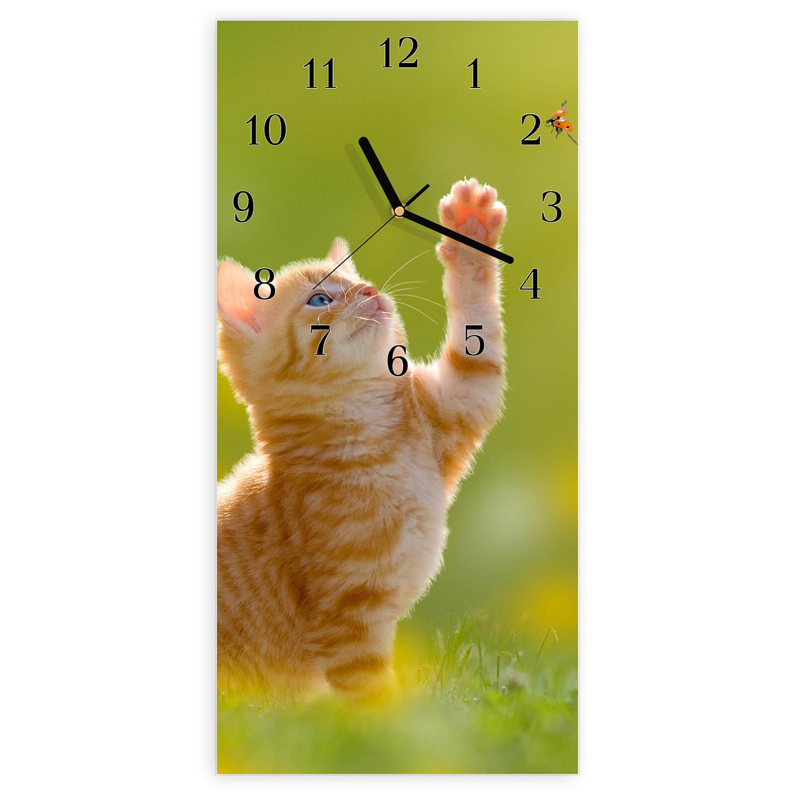 #ziffernblatt_klassisch