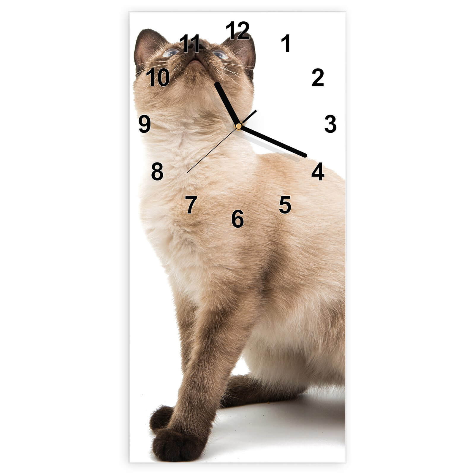 #ziffernblatt_modern