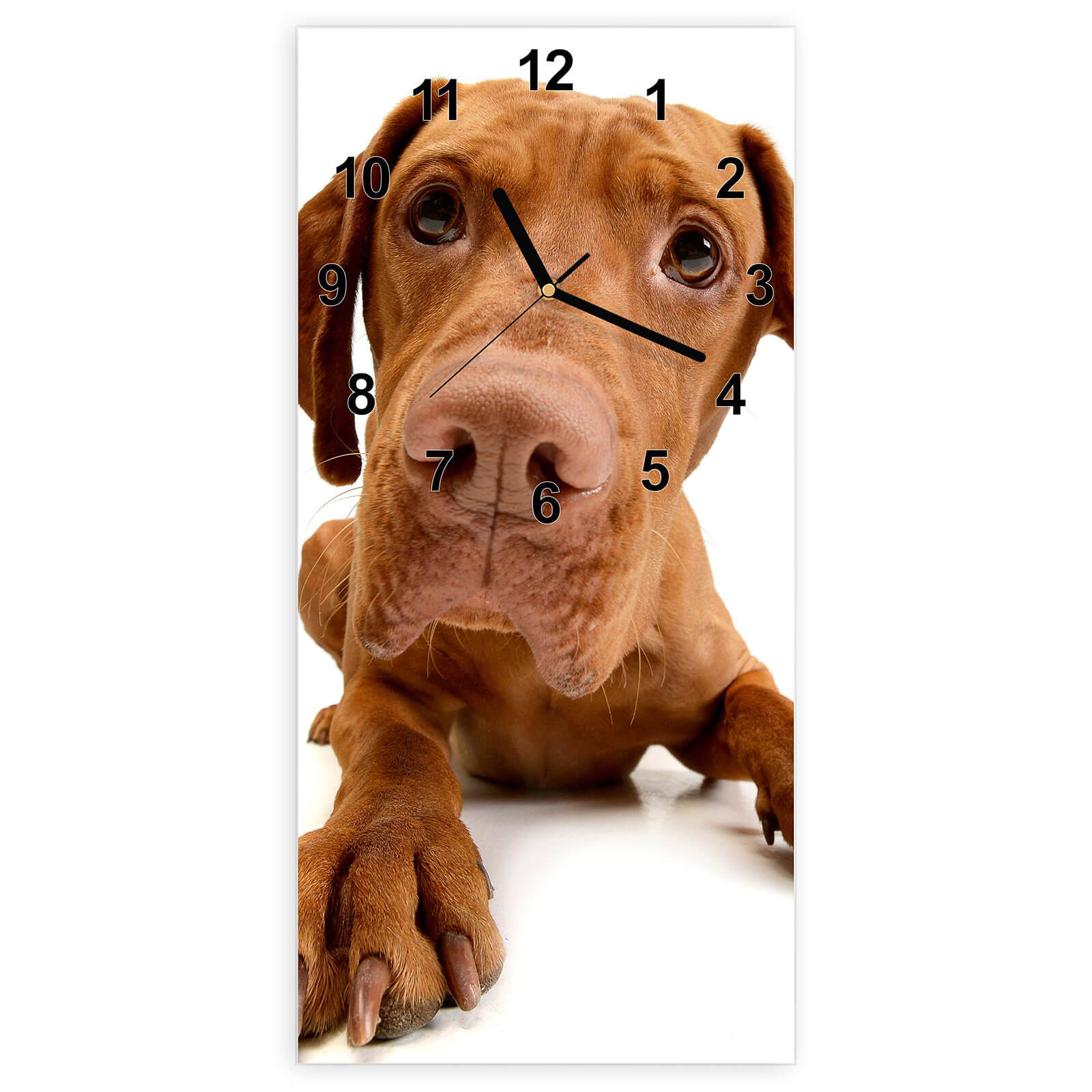 #ziffernblatt_modern